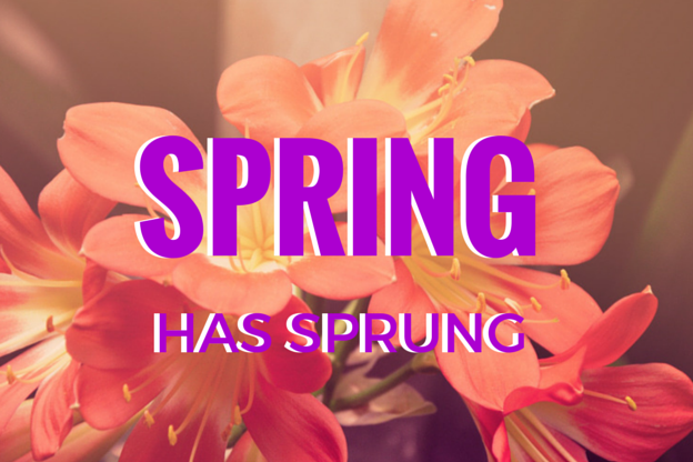 SPRING IS HERE!
